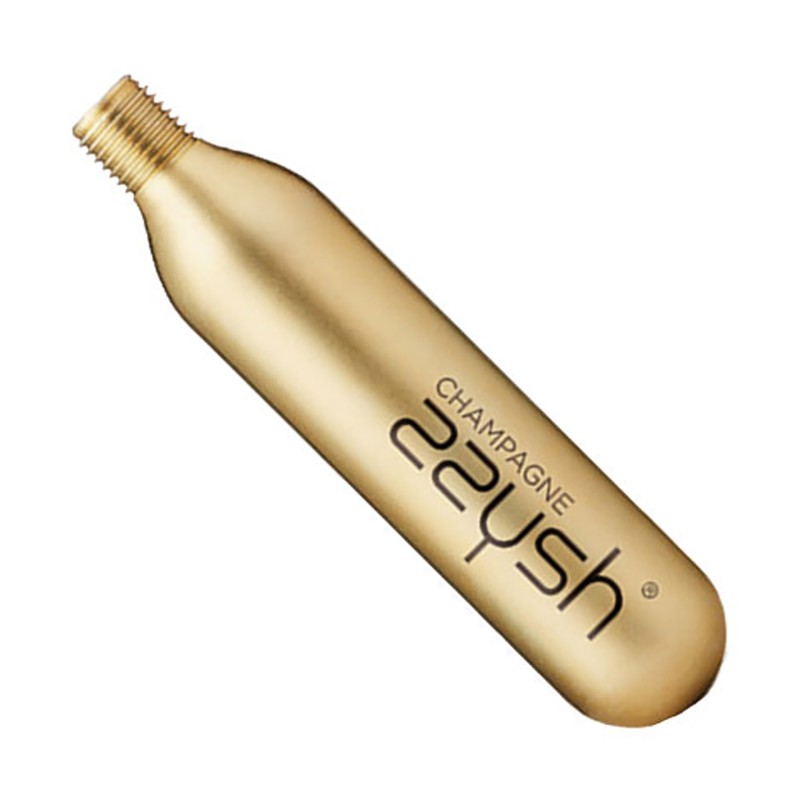 Pack 5 Champagne Recharge Zzysh Argon/Co2
