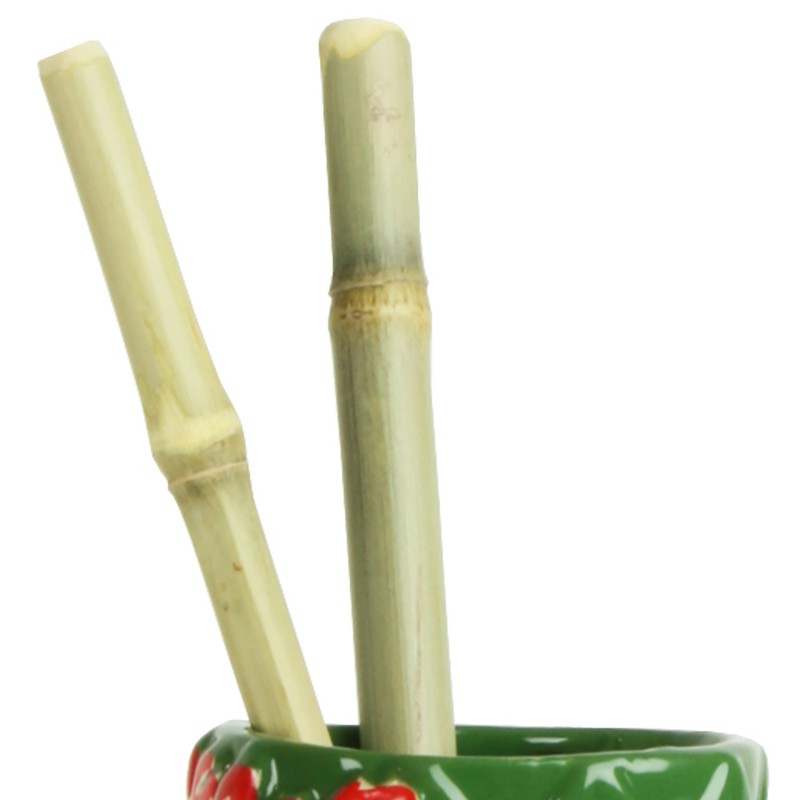 Bamboo Straw