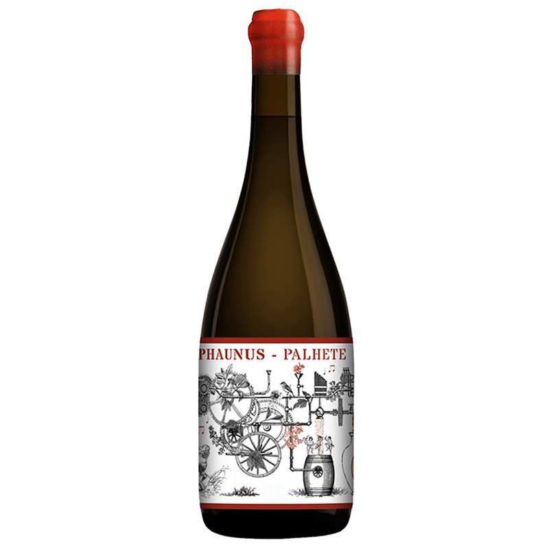Wine Aphros Phaunus Amphora Palhete 2022 75Cl 11%