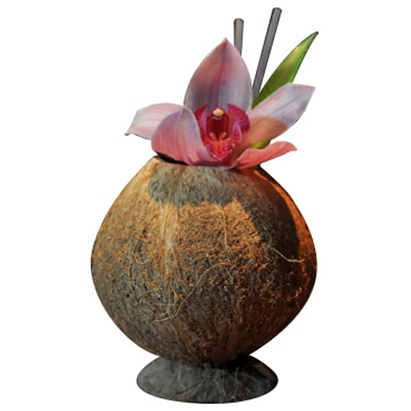 Coconut Natural With Base 500Ml