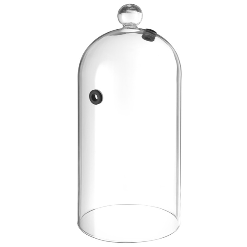 Glass Dome With Vent �13Cm