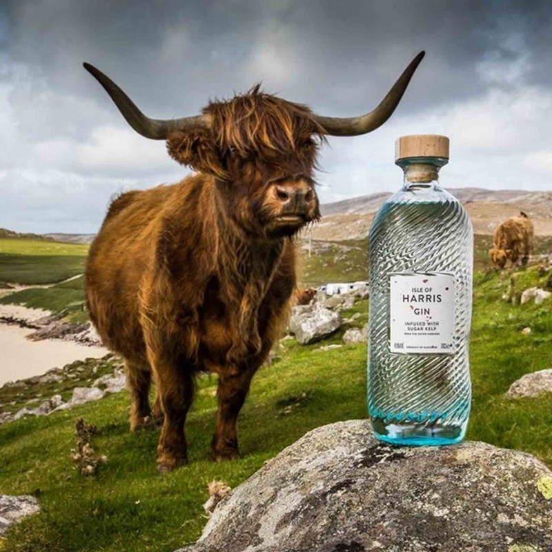 Gin Isle Of Harris 70Cl 45%