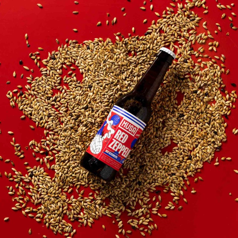 Cerveja Musa Red Zeppelin 33Cl 5%
