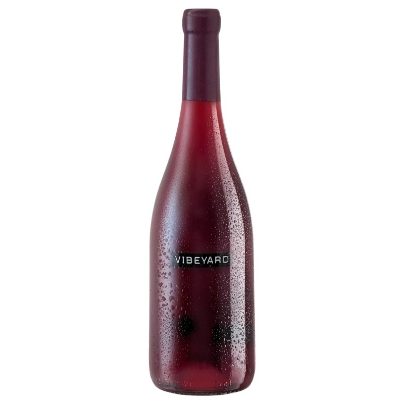 Red Wine Vibeyard Palhete 2024 75Cl 12% Red Wine Vibeyard Palhete 2024 75Cl 12%