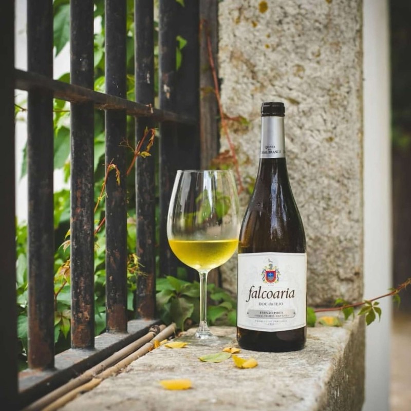Vinho Branco Falcoaria Vinhas Velhas Fern�o Pires 2022 75Cl 12%